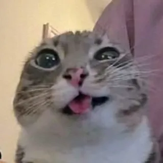 creator nu1l's avatar