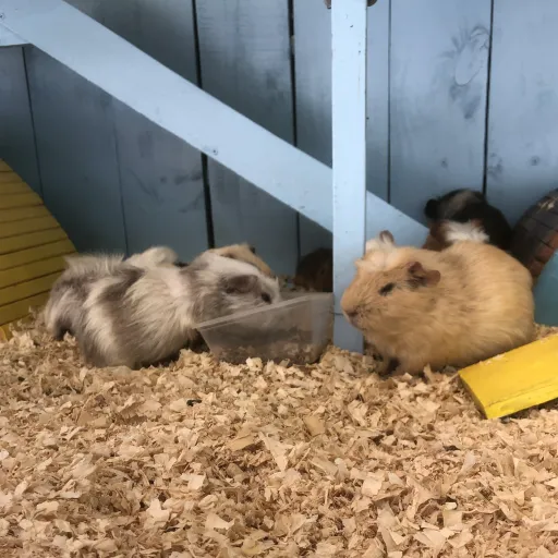 creator •Jan_2029•'s avatar