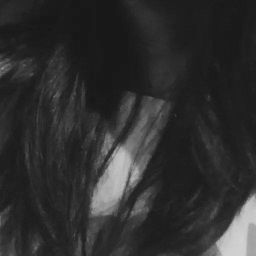 creator Xander V's avatar