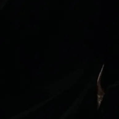 chat with ai character: Nicholas Scott