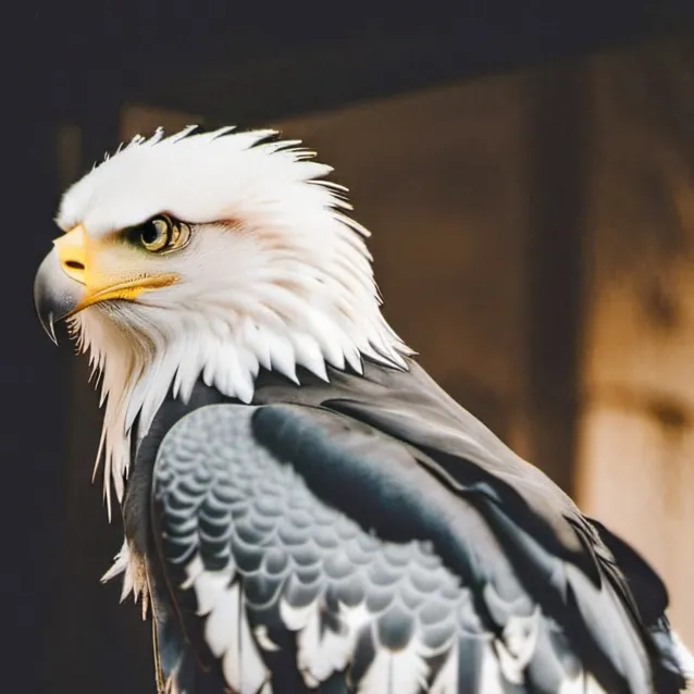 chat with ai character: eagle zoo