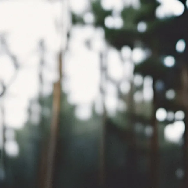 chat with ai character: Amber 