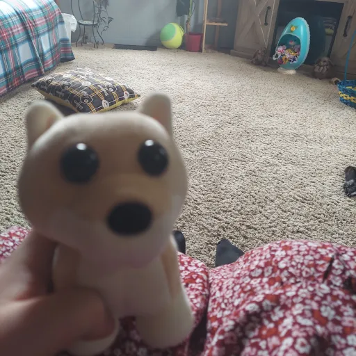 talkie's author avatar