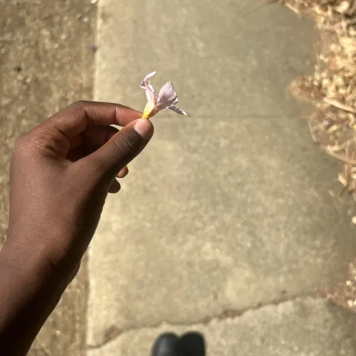 creator Aubrey gyatt's avatar