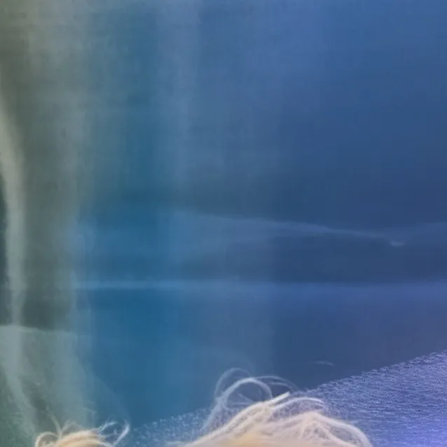 chat with ai character: Chris