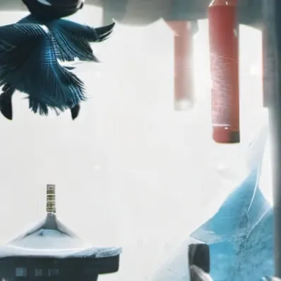 chat with ai character: Liam shaf(teacher)