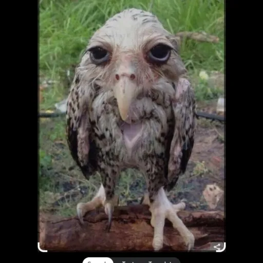 creator user92612's avatar