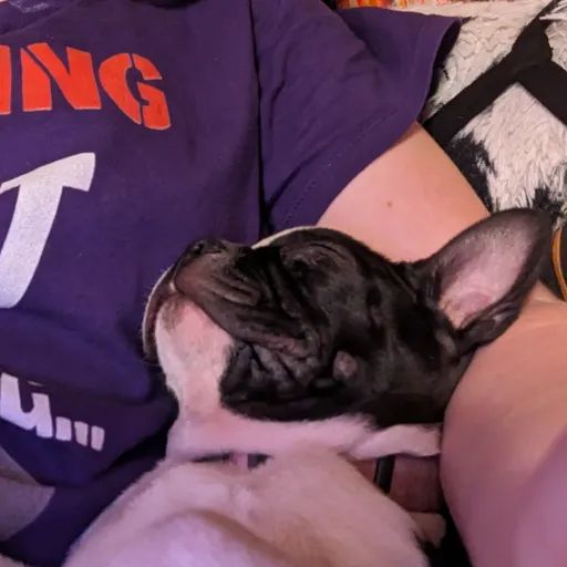 creator Meme bois's avatar