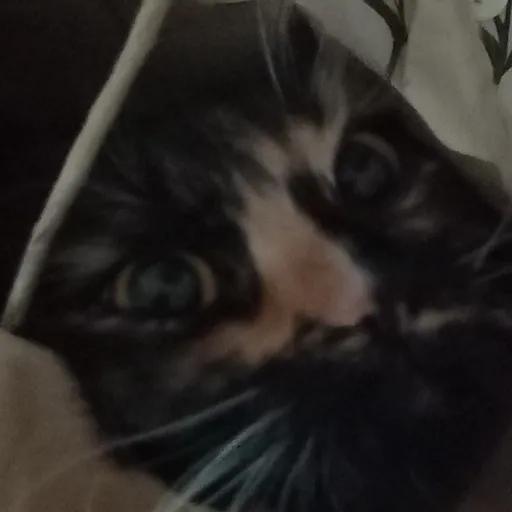 creator NeoTheTherian's avatar