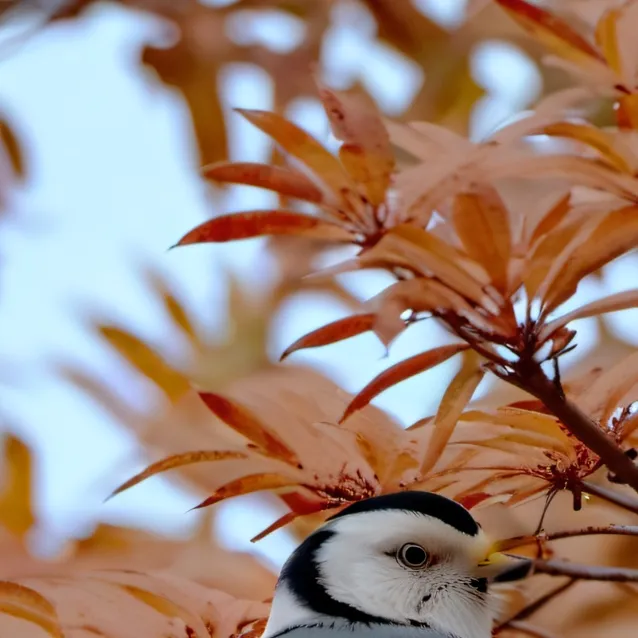 chat with ai character: MHA