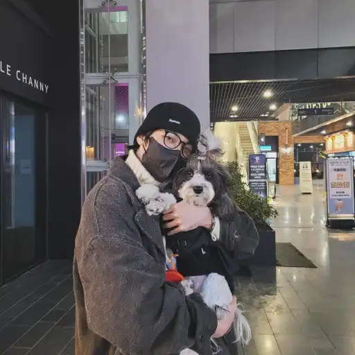 talkie's author avatar