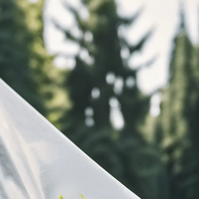 chat with ai character: lol