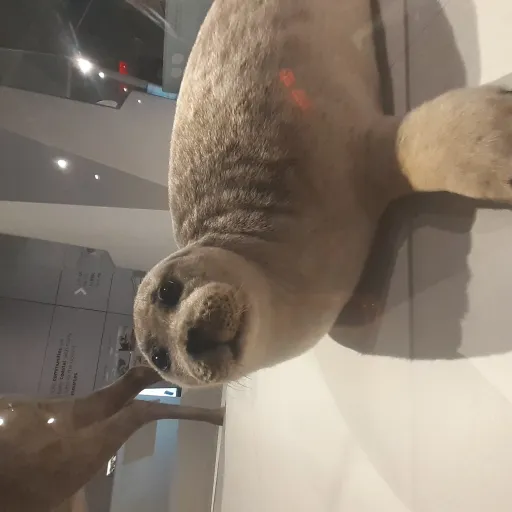 creator _Owen_'s avatar