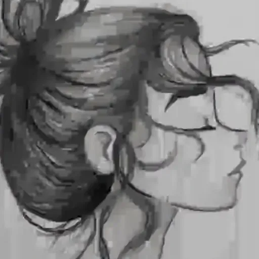 creator Lexie Snape's avatar