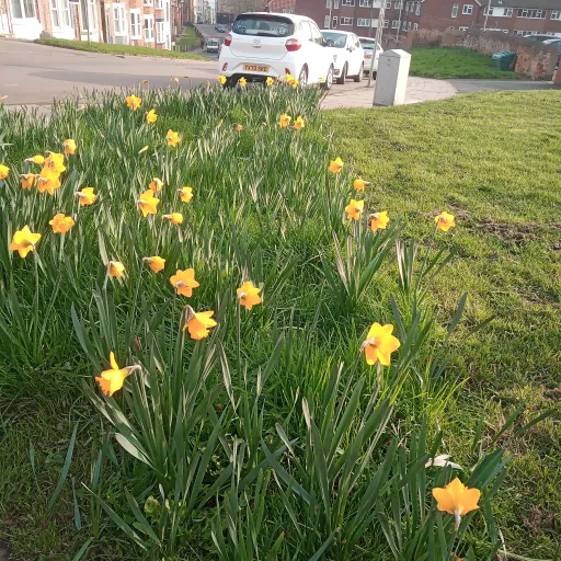 creator summertimesasness⚡'s avatar