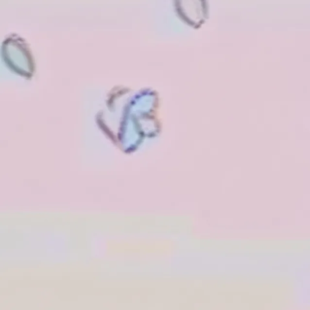 chat with ai character: Recap-kun