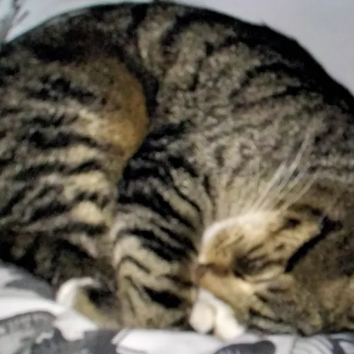 creator Sunshine&Shadow's avatar