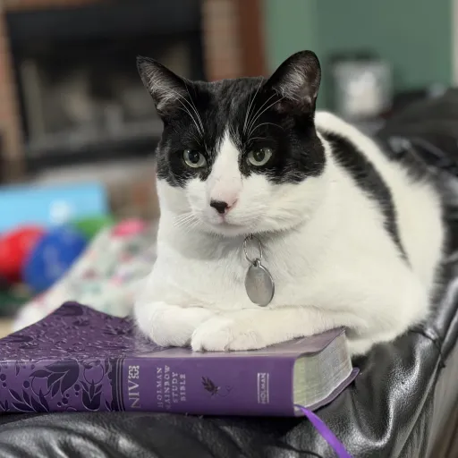 creator Livve4Life's avatar