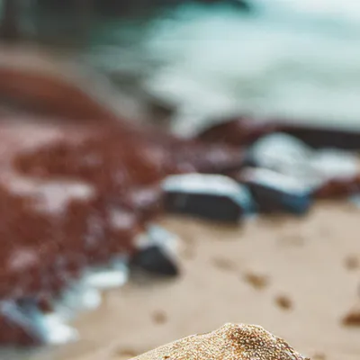 chat with ai character: Quick sand