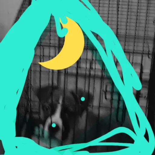 creator kitttyplayz's avatar