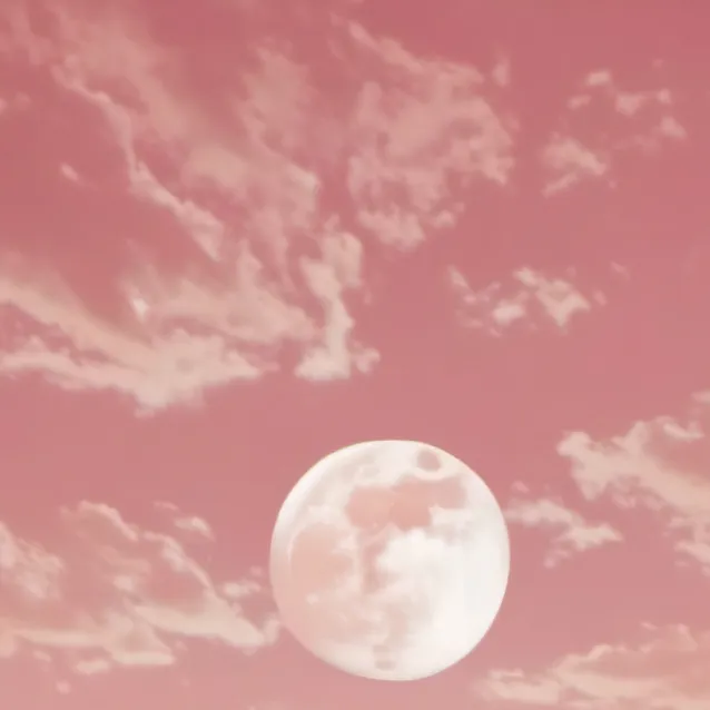 chat with ai character: skz