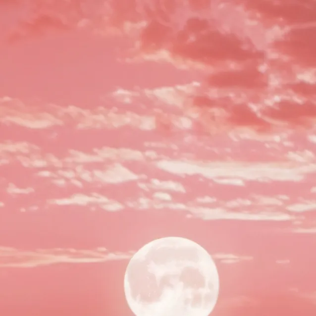 chat with ai character: skz