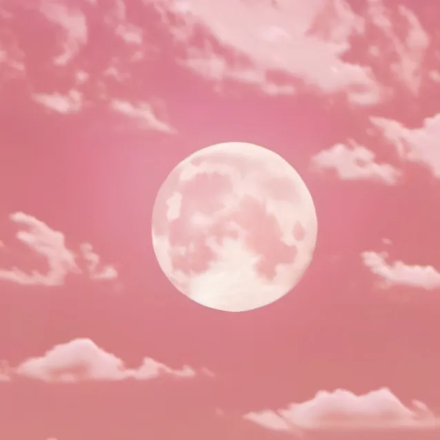 chat with ai character: skz