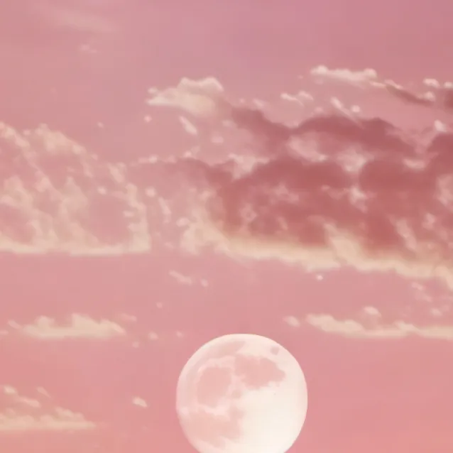 chat with ai character: skz