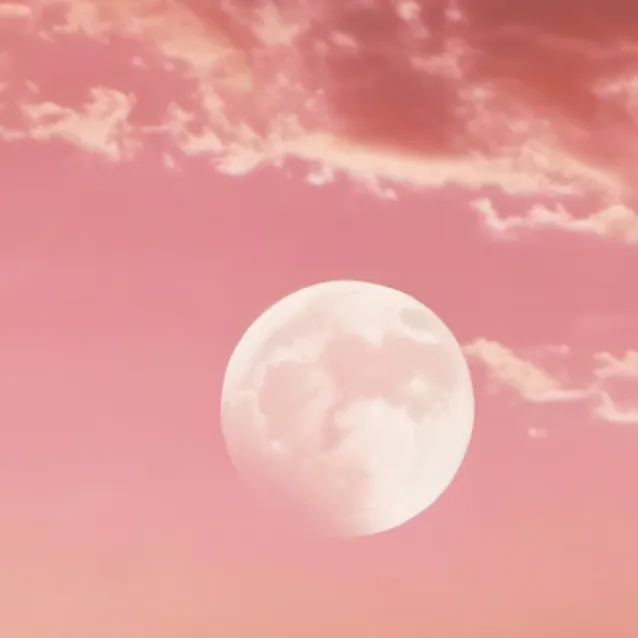 chat with ai character: skz