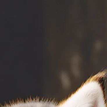 chat with ai character: Sky