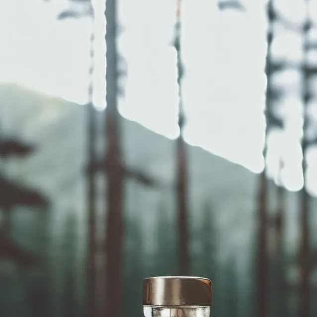 chat with ai character: Erm