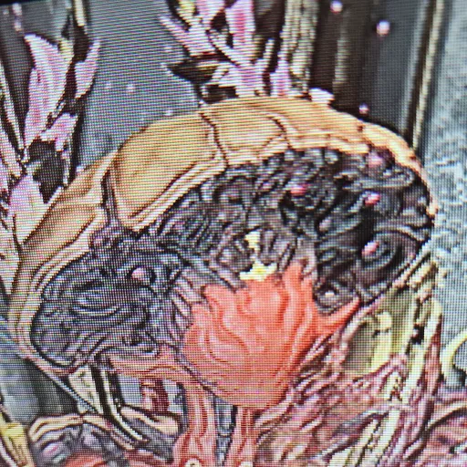 creator NokkoOfTheDeepmine's avatar