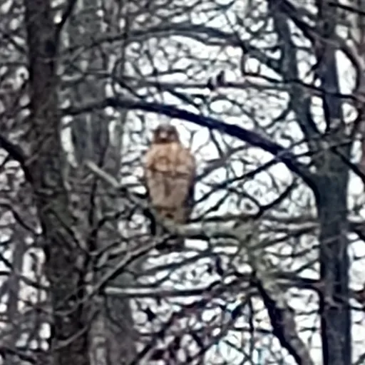 creator 🍄♥️$t3¡¡@♥️🍄's avatar