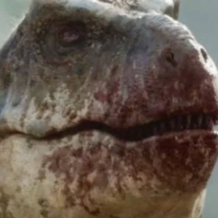 creator 🦖silly_rex🦖's avatar