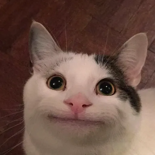 creator Beluga_1's avatar