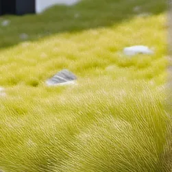 chat with ai character: touch some garss