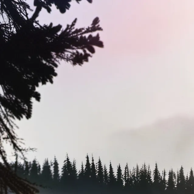 chat with ai character: girls school