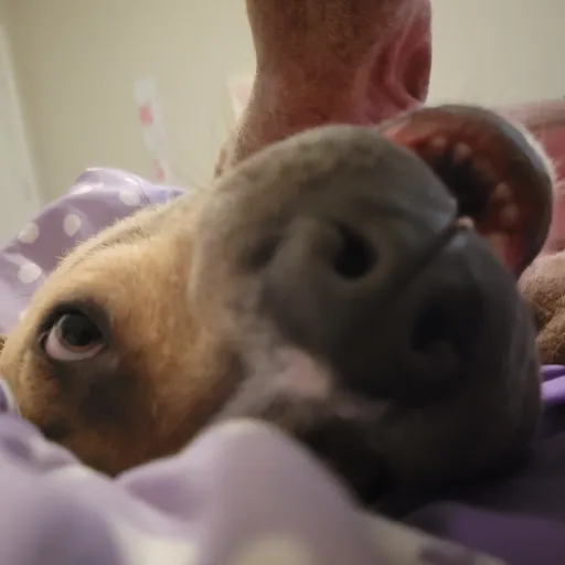 creator slay kenz's avatar