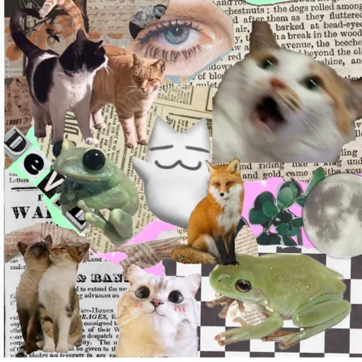 creator ~Luna~#idk's avatar