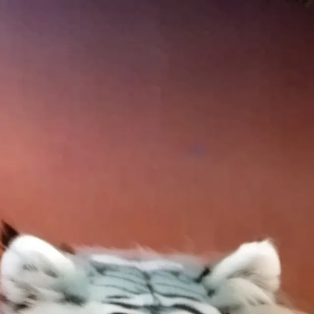 chat with ai character: Jade