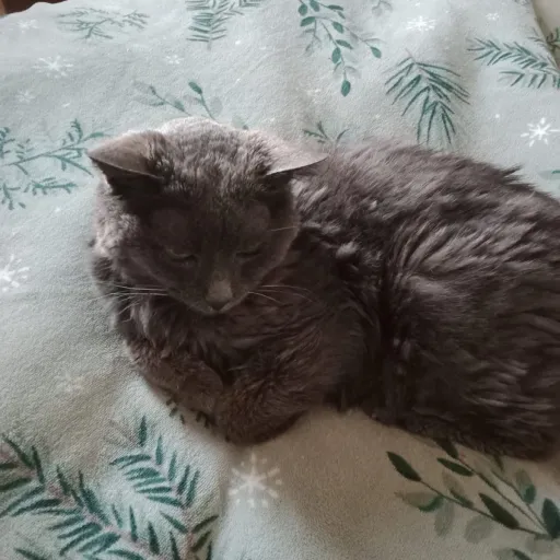 creator ethan48383's avatar