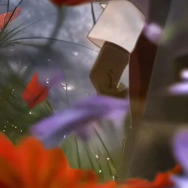 chat with ai character: Oliver 