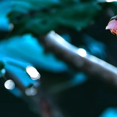 chat with ai character: Friend group 