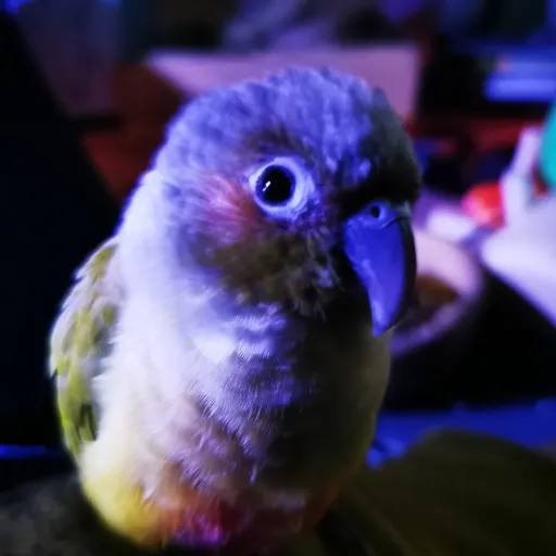 talkie's author avatar