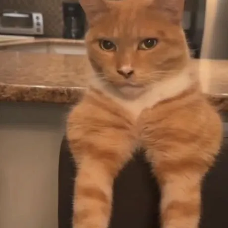 creator glitchlord's avatar