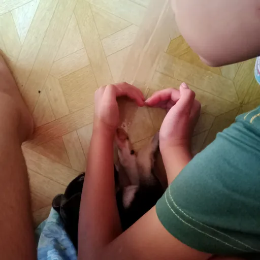 creator hea-VW2AQlRp's avatar