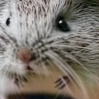 chat with ai character: Lllp