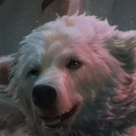 chat with ai character: Antarctica 🇦🇶