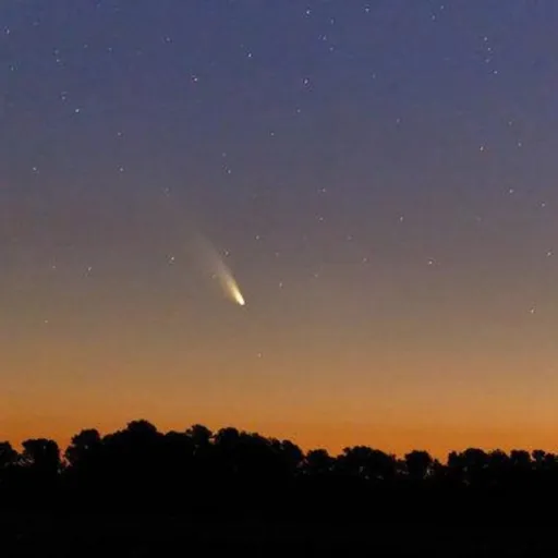 creator Milly_1929's avatar