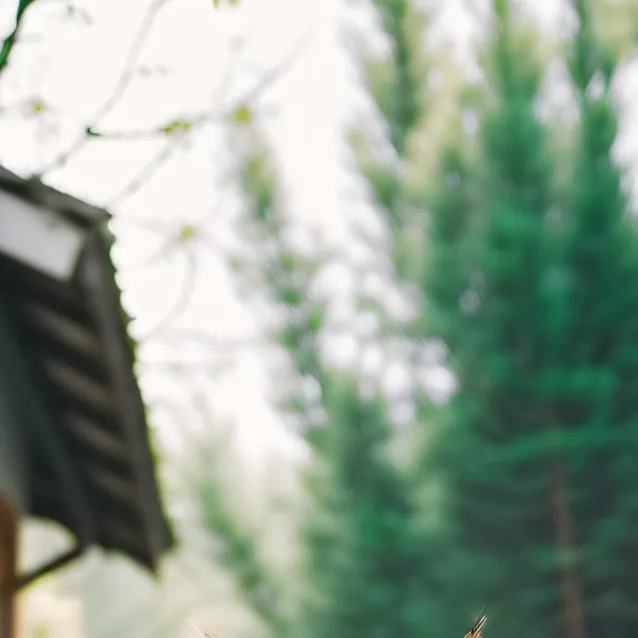 chat with ai character: Indy